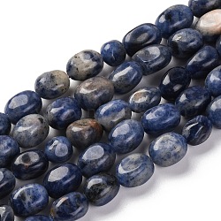 Natural Sodalite Beads Strands, Nuggets, Tumbled Stone, 7~12x6~8x5~7mm, Hole: 1mm, about 43~44pcs/strand, 15.47~15.63''(39.3~39.7cm)(G-G146-A03-01)