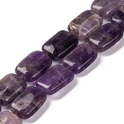 Natural Amethyst Beads Strands, Rectangle, 18x13.5x5.5mm, Hole: 1.2mm, about 22pcs/strand, 15.75 inch(40cm)(G-T047-B08-01)