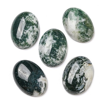 Natural Tree Agate Cabochons, Oval, 25x18~18.5x7mm