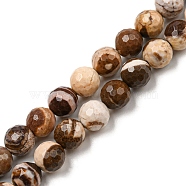 Natural Zebra Jasper Beads Strands, Faceted(128 Facets), Round, 8~8.5mm, Hole: 1.2mm, about 45pcs/strand, 15.08~15.16 inch(38.3~38.5cm)(G-C079-B01-02)