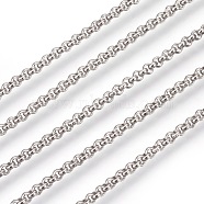 304 Stainless Steel Rolo Chains, Belcher Chain, Unwelded, Stainless Steel Color, 2.5mm(CHS-L017-18I)