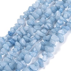 Dyed Natural Aquamarine Beads Strands, Chip, 3~16x3~8mm, Hole: 0.7mm, 32.28''(82cm)(G-G011-12)