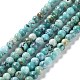 Natural HuBei Turquoise Beads Strands(G-M411-A02-02)-1