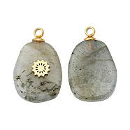 Natural Labradorite Pendants, Oval Charms with Golden Tone Stainless Steel Snowflake Slice, 17x11mm, Hole: 1.5mm(FIND-PW0015-01A-05)