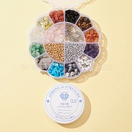DIY Gemstone Chips Earring Making Kit, Including Brass Earring Hooks, Glass Seed Beads, Natural & Synthetic Mixed Gemstone Chip Beads, Mixed Color(DIY-FS0003-19)