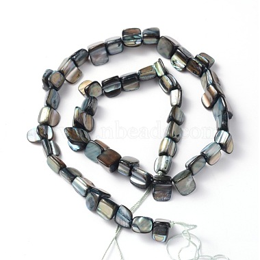 Erose Shell Beads Strands(PBB070Y)-2