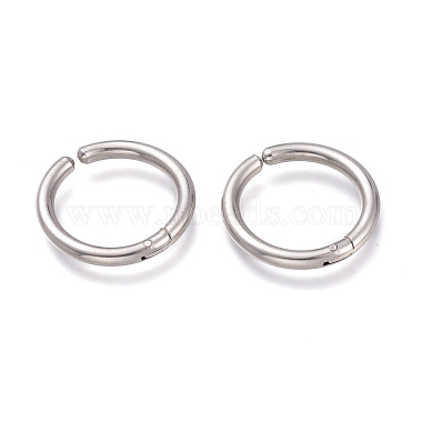 304 Stainless Steel Earrings