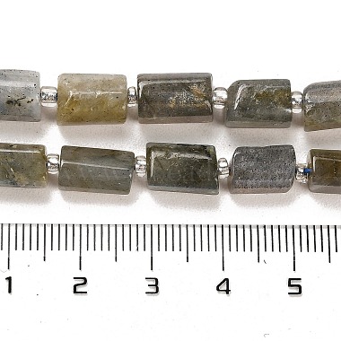 Natural Labradorite Beads Strands(G-G068-A10-01)-5