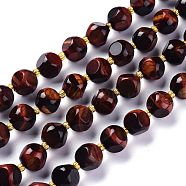 Natural Tiger Eye Beads Strands, Dyed & Heated, with Seed Beads, Six Sided Celestial Dice, Red, 10~10.5x10~10.5mm, Hole: 1mm, about 32~35pcs/strand, 15.55~15.74inch(39.5~40cm)(G-A030-B01-05-10mm)