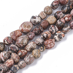 Natural Leopard Skin Jasper Beads Strands, Nuggets, Tumbled Stone, 5~11x5~8x3~6mm, Hole: 0.8mm, about: 52~56pcs/Strand, 15.94 inch(40.5cm)(G-S363-032)
