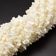 Natural Trochid Shell/Trochus Shell Beads Strands, Shell Shards, Chip, Creamy White, 5~8x5~8mm, Hole: 1mm, 32 inch(X-SSHEL-K014-07)