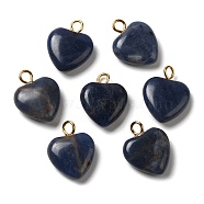 Natural Sodalite Pendants, Heart Charms with Golden Plated Brass Loops, 15~15.5x12~12.5x4.5~5.5mm, Hole: 2mm(G-E603-01G-01)