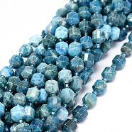 Natural Apatite Beads Strands, with Seed Beads, Faceted, Bicone, Double Terminated Point Prism Beads, 7~8x7~8mm, Hole: 0.8mm, about 38pcs/strand, 15.35 inch(39cm)(G-O201B-98)