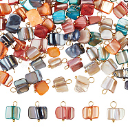 AHADERMAKER 100Pcs 5 Colors Natural Dyed Shell Charms, with Golden Tone Brass Loops, Irregular Shapes, Mixed Color, 13~14x7~13x5~10.5mm, Hole: 3~3.5mm, 20pcs/color(SHEL-GA0001-13)