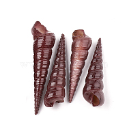 Natural Spiral Shell Beads, No Hole/Undrilled, Spray Painted, Saddle Brown, 32~75x9~18x9~18mm(X-SSHEL-Q307-02A)