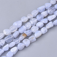 Natural Blue Lace Agate Beads Strands, Nuggets, Tumbled Stone, 5~11x5~8x3~6mm, Hole: 0.8mm, about: 52~56pcs/Strand, 15.94 inch(40.5cm)(G-S363-047B)
