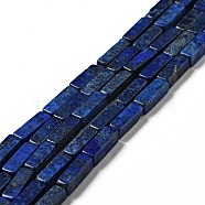 Natural Lapis Lazuli Beads Strands, Cuboid, Dyed, 12~13x4~5x4~5mm, Hole: 1mm, about 29pcs/strand, 15.24''(38.7cm)(G-I326-04)