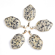 Natural Dalmatian Jasper Pendants, with Brass Findings, Faceted, Shield, Golden, 36x22.5x6mm, Hole: 8x4.5mm(G-S344-12B)