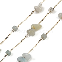 Ion Plating(IP) 316 Surgical Stainless Steel Chains, with Natural Amazonit, with Spool, Soldered, 2.5x0.9x0.2mm(AJEW-Q153-01F)