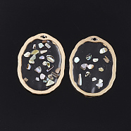 Epoxy Resin Pendants, with Shell and Alloy Findings, Oval, Colorful, Matte Gold Color, 30.5x22x1~1.5mm, Hole: 1.4mm(RESI-S365-26)