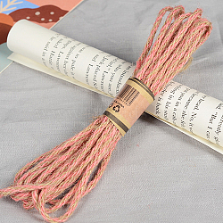 Jute Cord, Jute String, Jute Twine, 3 Ply, for Jewelry Making, Light Salmon, 4mm, about 10.93 yards(10m)/bundle(OCOR-WH0016-07B)