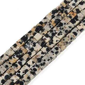 Natural Dalmatian Jasper Beads Strands, Cube, 3.5x3.5x3.5mm, Hole: 0.7mm, about 110pcs/strand, 15.16''(38.5cm)