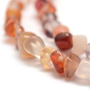 Teints naturels perles de cornaline brins(G-F465-22)-3