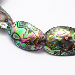 Natural Paua Shell Beads Strands, Oval, 18~25x12~15mm, Hole: 1.2mm, about 18pcs/strand, 16 inch(BSHE-D009-A)