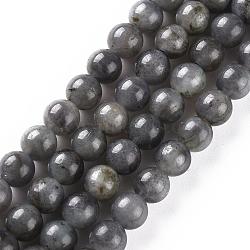 Natural Black Labradorite Beads Strands, Grade AB+, Round, 6mm, Hole: 0.8mm, about 62~65pcs/strand, 15.3 inch(G-S333-6mm-021B)