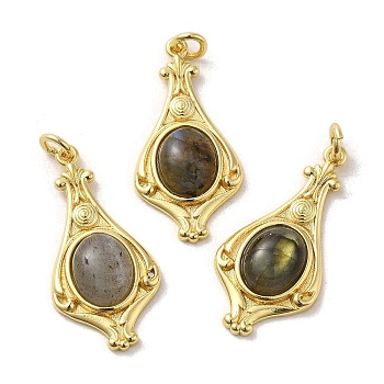 Natural Labradorite Pendants, Teardrop Charms with Rack Plating Platinum Tone Brass Findings, Cadmium Free & Lead Free, 30x14.5x5.7mm, Hole: 2.7mm