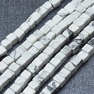 Natural Howlite Beads Strands, Cube, 3~4.5x3~4.5x3~5mm, Hole: 0.8~1mm, about 89~97pcs/strand, 15.1~15.5 inch(38.5~39.5cm)(G-F631-C17)