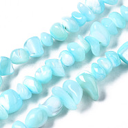Natural Trochid Shell/Trochus Shell Bead Strands, Nuggets Chips, Dyed, Sky Blue, 3.5~13x6~12x3~8mm, Hole: 0.9mm, about 50~73pcs/strand, 15.35 inch~15.94 inch(39~40.5cm)(SSHEL-N034-78-C03)