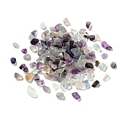 Natural Fluorite Beads, No-hole/Undrilled, Chip, 1~13x1~9x0.5~6mm, about 7000pcs/kg(G-D472-04)