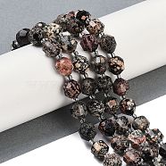 Natural Snowflake Obsidian Beads Strands, Faceted, Bicone, Double Terminated Point Prism Beads, 10x9mm, Hole: 1.2mm, about 38pcs/strand, 15.08''(38.3cm)(G-O201B-133G)