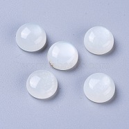 Natural White Moonstone Cabochons, Half Round/Dome, 10x5mm(G-L541-01C-10mm)