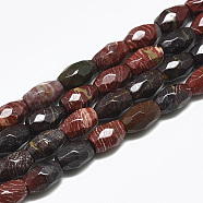 Natural Red Rainbow Jasper Beads Strands, Faceted, Oval, 8.5~9x6mm, Hole: 1mm, about 22pcs/strand, 8.07 inch(G-S357-A02)
