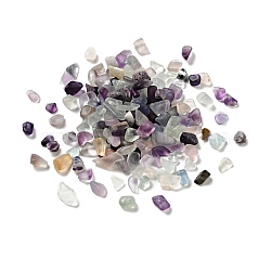 Natural Fluorite Beads, No-hole/Undrilled, Chip, 1~13x1~9x0.5~6mm, about 7000pcs/kg (G-D472-04)