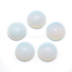 Opalite Cabochons, Half Round, 13.5~14x6~8mm(G-P393-R10-14mm)