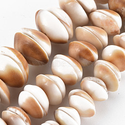 Natural Shell Beads Strands, Half Round, BurlyWood, 8~20x8~20x3~7mm, Hole: 1mm, about 28~54pcs/strand, 6.69 inch~7.09 inch(17~18cm)(SSHEL-N034-100)