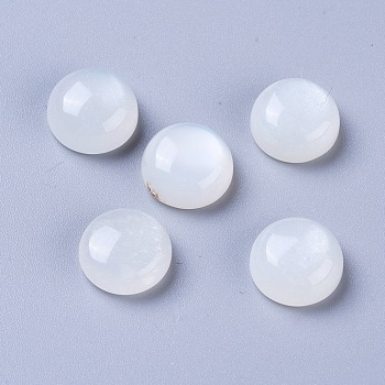 Natural White Moonstone Cabochons, Half Round/Dome, 10x5mm