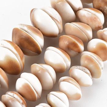 Natural Shell Beads Strands, Half Round, BurlyWood, 8~20x8~20x3~7mm, Hole: 1mm, about 28~54pcs/strand, 6.69 inch~7.09 inch(17~18cm)