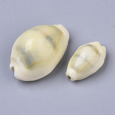 Natural Cowrie Shell Beads(SSHEL-N034-B-26)-2