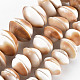 Natural Shell Beads Strands(SSHEL-N034-100)-1