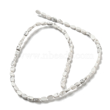 Natural Howlite Beads Strands(G-M420-H14-03)-3