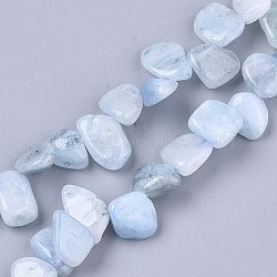 Natural Aquamarine Beads Strands, Chip, 8~20x5~15x4~8mm, Hole: 1mm, about 50~55pcs/Strand, 15.35 inch(39cm)(X-G-S363-010)