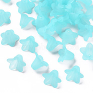 Transparent Acrylic Beads, Frosted, Flower, Light Cyan, 17.5x12mm, Hole: 1.5mm, about 770pcs/500g(PLF018-13)