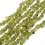 Natural Peridot Beads Strands, Chip, Olive Drab, 3~5x7~13x2~4mm, Hole: 0.4mm, about 32~32.5 inch(G-F328-36)