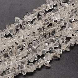 Natural Quartz Crystal Chips Beads Strands, 8~14x4~8x3~6mm, Hole: 1mm, about 15~16 inch(G-P030-01)