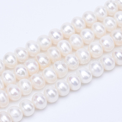 Natural Cultured Freshwater Pearl Beads Strands, Round, Floral White, 4.5~5mm, Hole: 0.8mm, about 81~83pcs/strand, 14.45 inch~15.08 inch(36.7~38.3cm)(PEAR-R063-08)