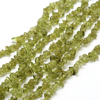 Natural Peridot Beads Strands, Chip, Olive Drab, 3~5x7~13x2~4mm, Hole: 0.4mm, about 32~32.5 inch